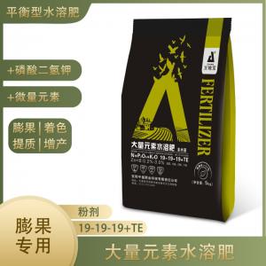 19-19-19+TE大量元素水溶肥
