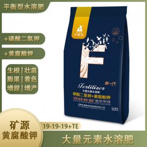 19-19-19+TE大量元素水溶肥